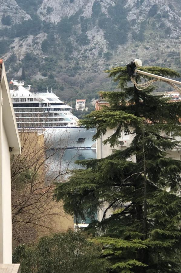 Unico Apartman Kotor Bagian luar foto